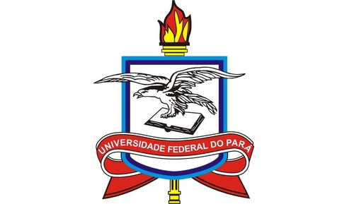 Fernando Antonio da Silva Fernandes