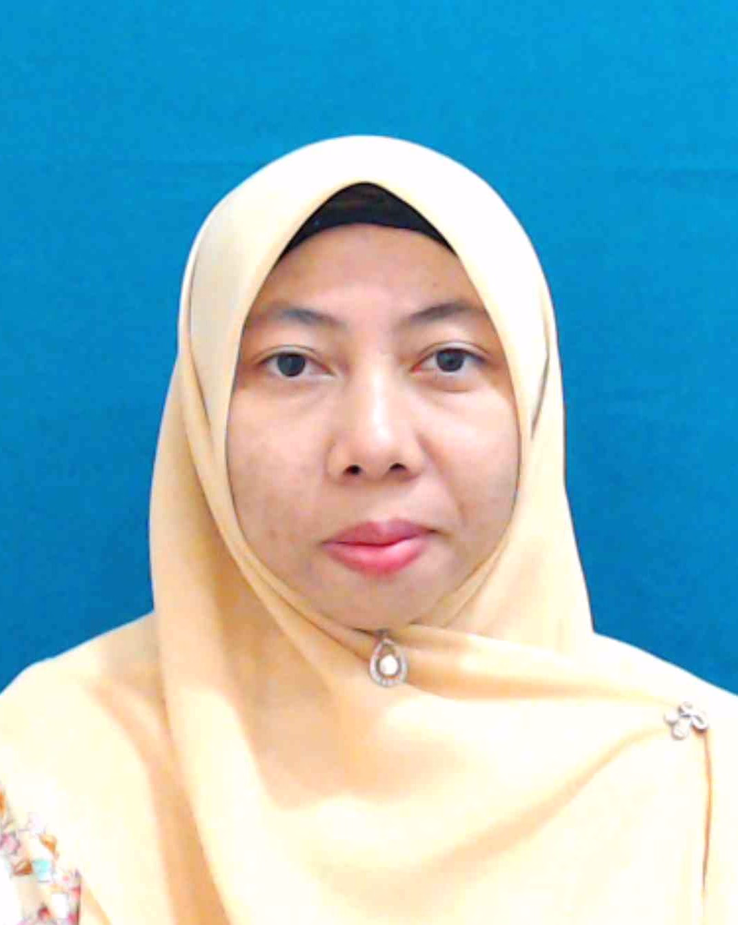 norsaliyana