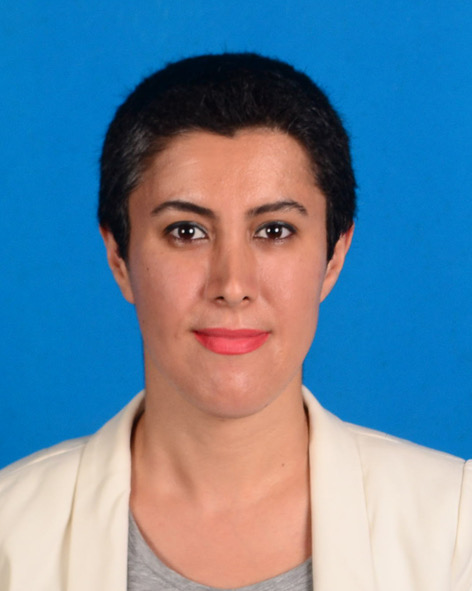 rafieh fakhlaei